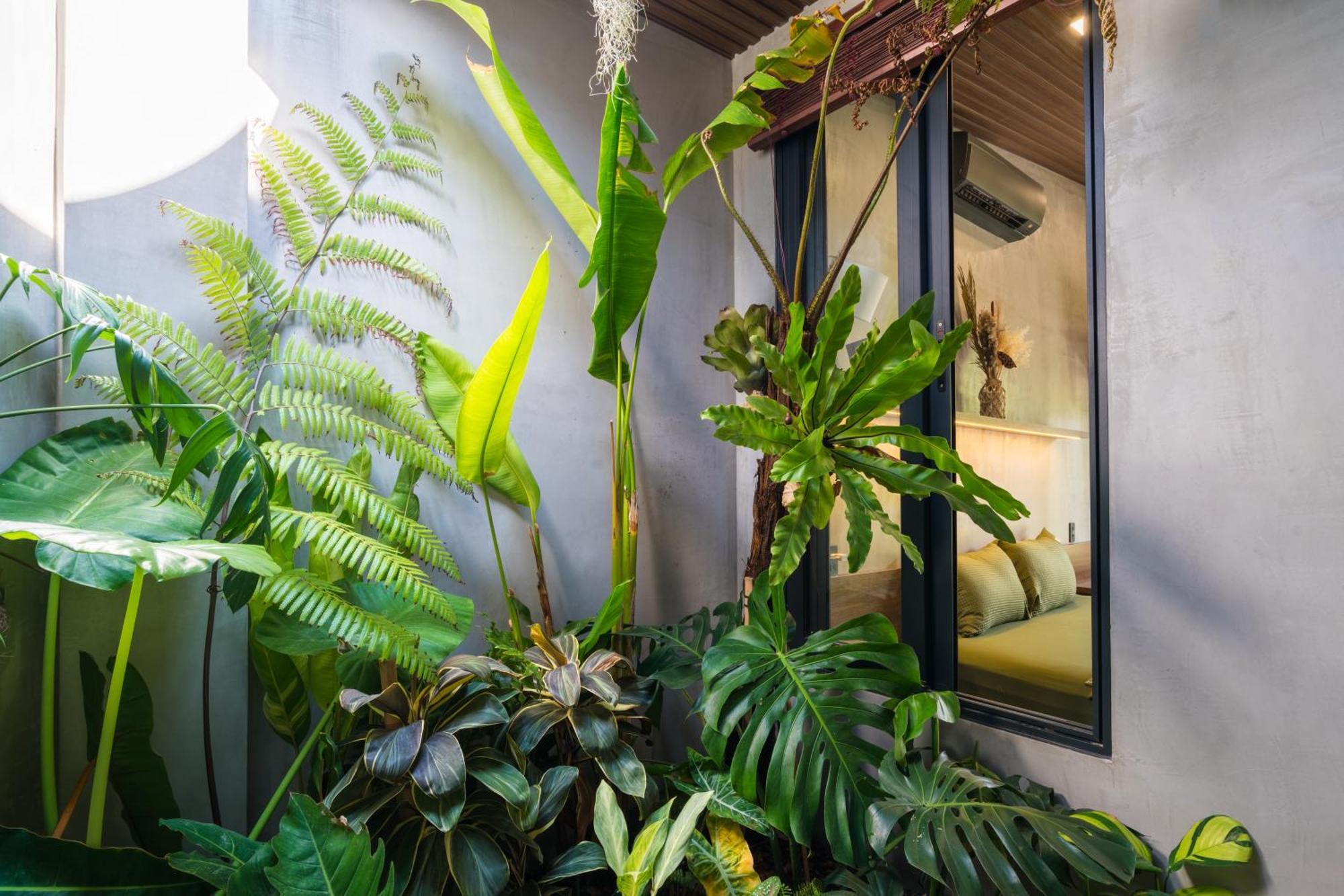 Eco House Villa 潘切 外观 照片